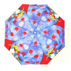 Paraguas, plegable, anti-viento, automático, motivos de arte, Privata.