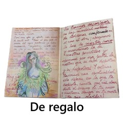 Bufandas mujer, grande, complementos Frida Kahlo, regalo original 176