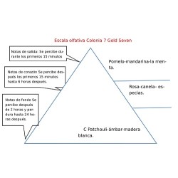 Colonia 7 Gold Seven, 1l , envase de cristal, fragancia amaderada